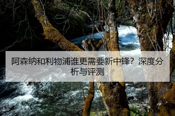 阿森纳和利物浦谁更需要新中锋？深度分析与评测