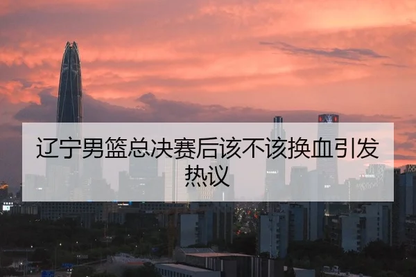 辽宁男篮总决赛后该不该换血引发热议