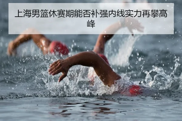 上海男篮休赛期能否补强内线实力再攀高峰